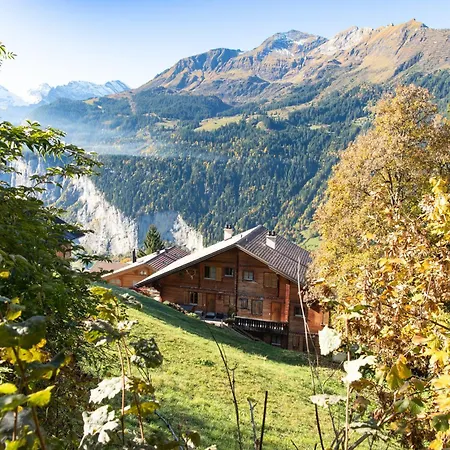 Apartment Barg U Tal Wengen