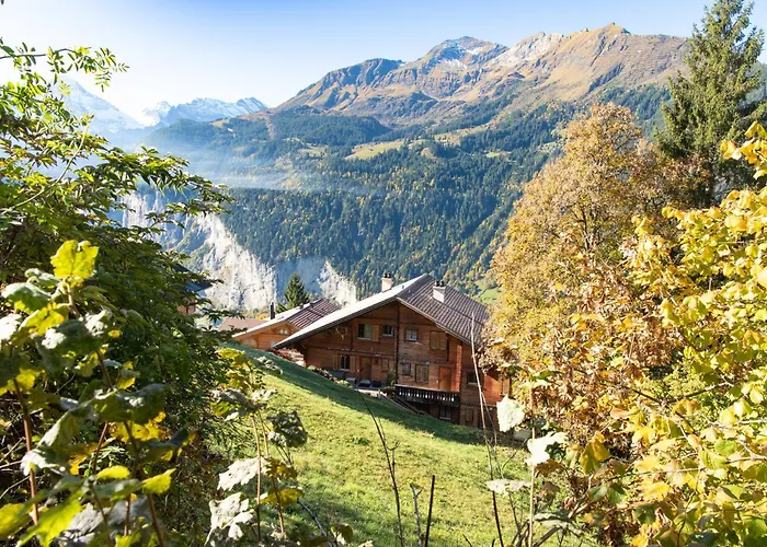 Apartment Barg U Tal Wengen